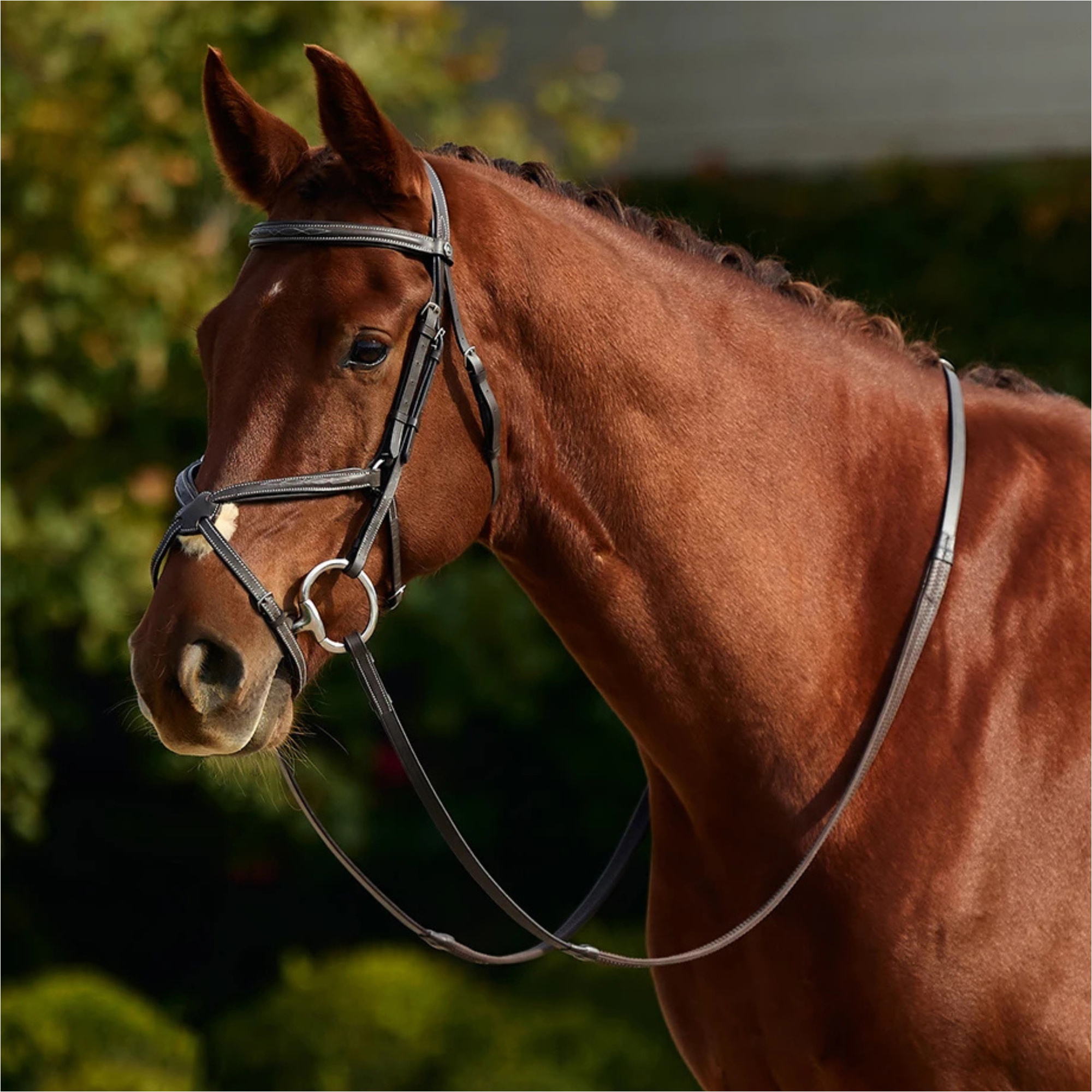 2026 Dublin Padded Mono Crown Fancy Stitch Grackle Bridle 1031502 - Brown